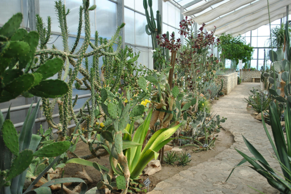 Horticulture